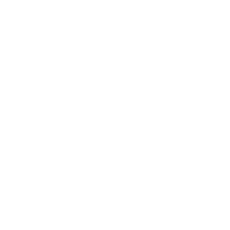Sankofa symbol